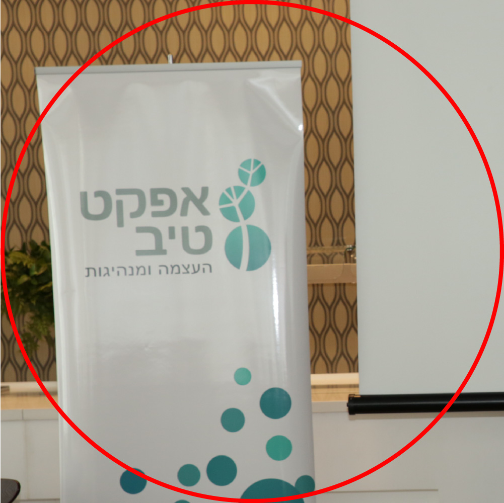 אפקט-טיב העצמה ומנהיגות רולאפ לוגו